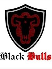 Logo%20black%20bull