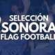 Seleccion