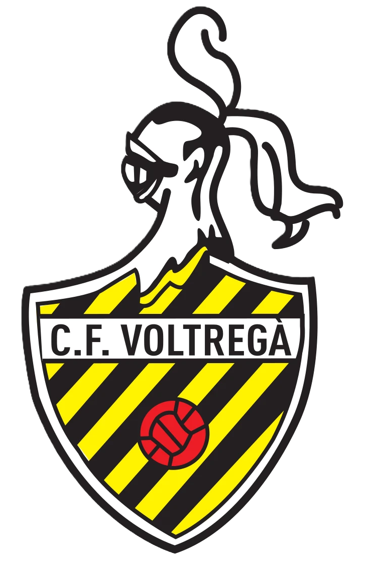Cfv_%20logo_color